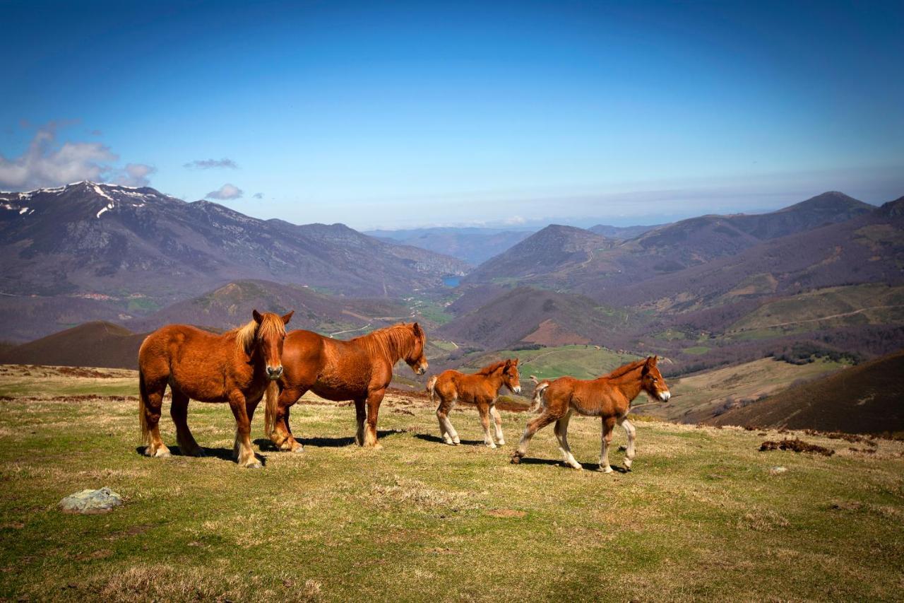 Penzion La Casona De Lombrana, En Polaciones Exteriér fotografie